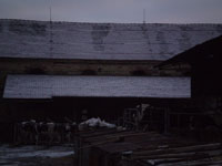 image13