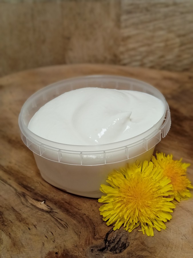 Domácí jogurt